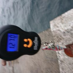 ラスト1投でガツンと！